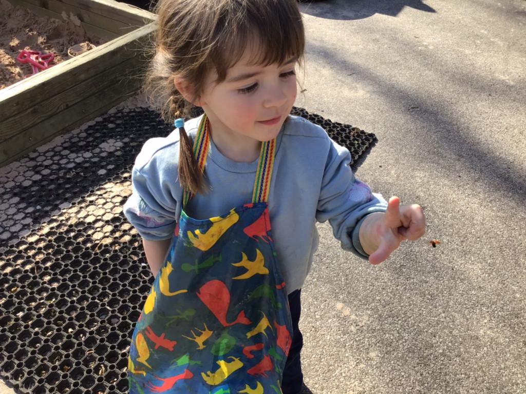 Spring Term 2025 - Barkway Preschool -  Play. Learn. Grow.